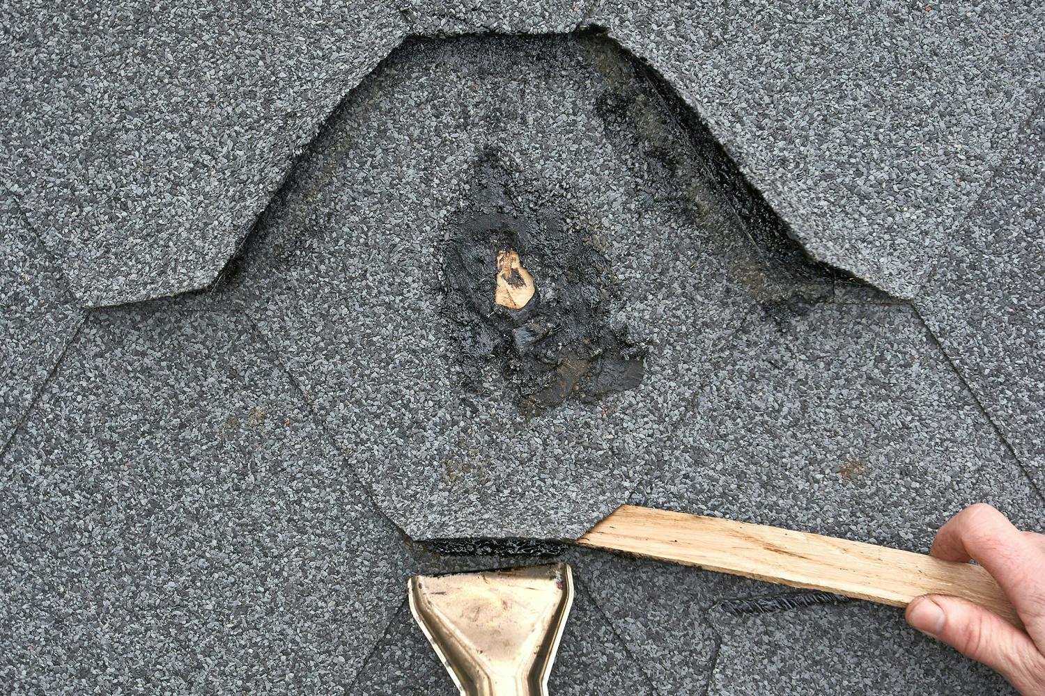 Tagshingles Tagshingles